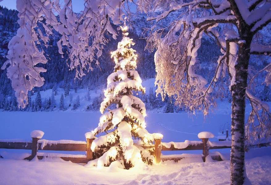 Sníh a osvětlený vánoční strom skládačky online