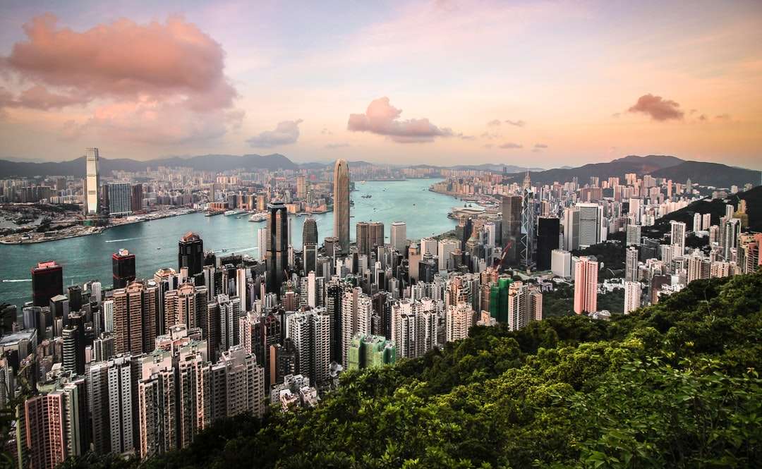 въздушна фотография на град, водоем и гора онлайн пъзел