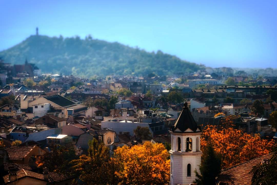 photographie aérienne de maisons près de la montagne puzzle en ligne