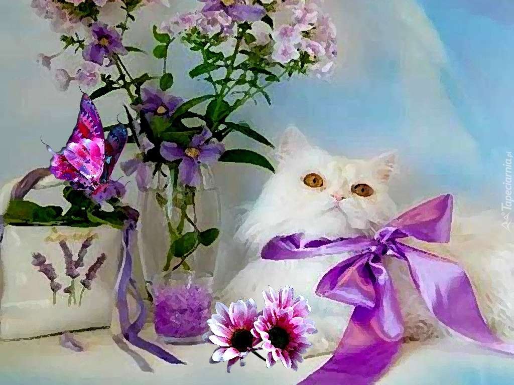 obrázek - bílé kotě online puzzle