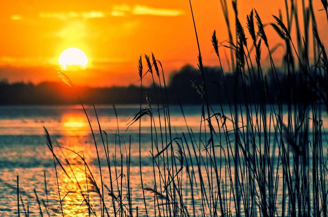 Solen på sjön Pussel online