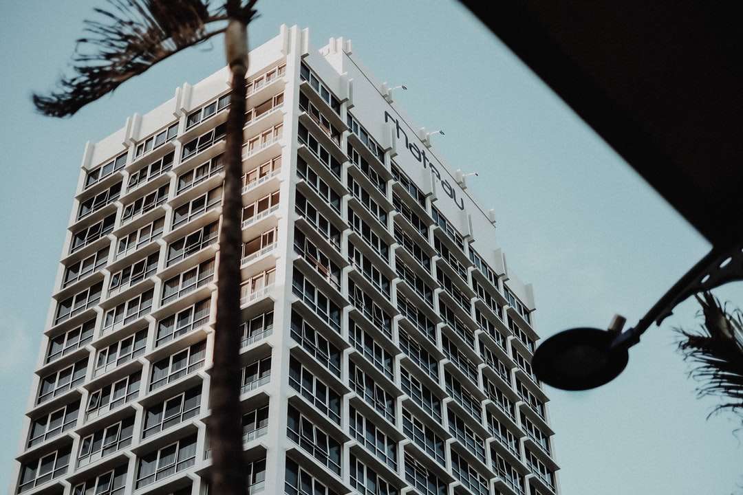 昼間のコンクリートの建物のローアングル写真 ジグソーパズルオンライン