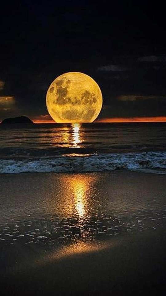 MOON IN THE SEA ................. online puzzle