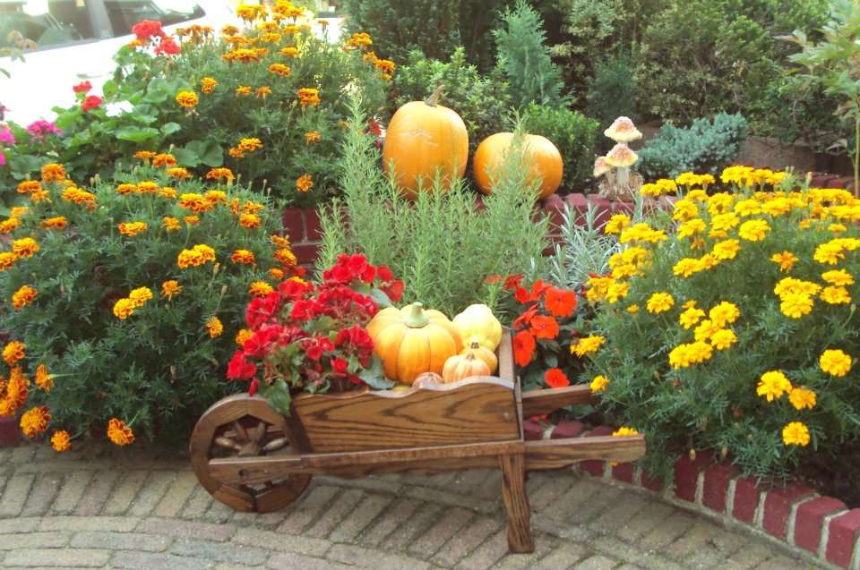 podzimní květiny v zahradě skládačky online