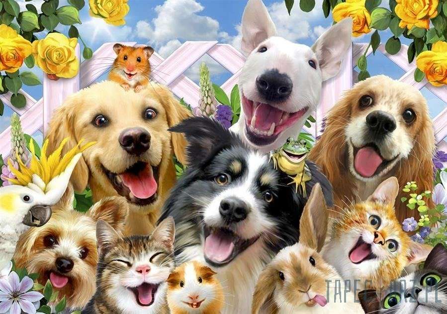 šťastná zvířata skládačky online
