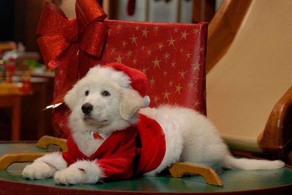 Кучето на Дядо Коледа онлайн пъзел
