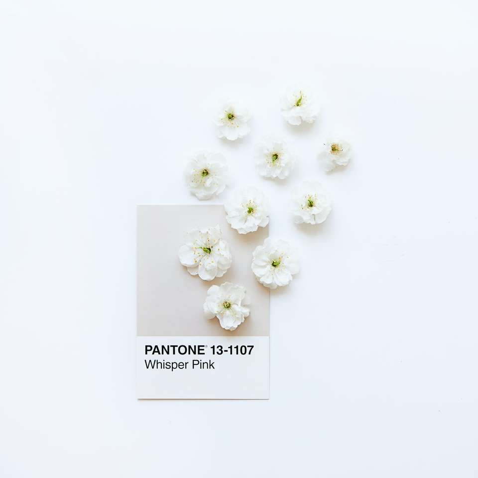 білі квіти на білій поверхні пазл онлайн
