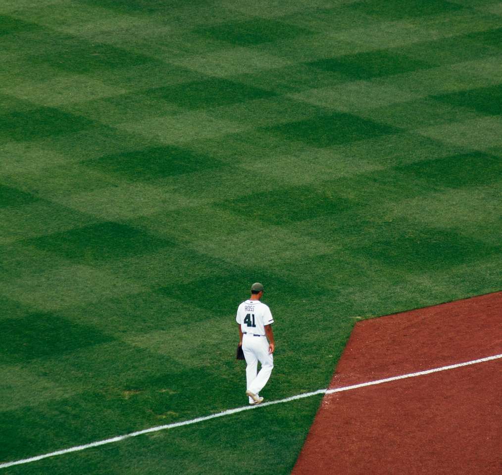 παίκτης του μπέιζμπολ στέκεται στο γήπεδο βήματα σε λευκή γραμμή online παζλ