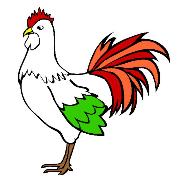 Colored rooster jigsaw puzzle online