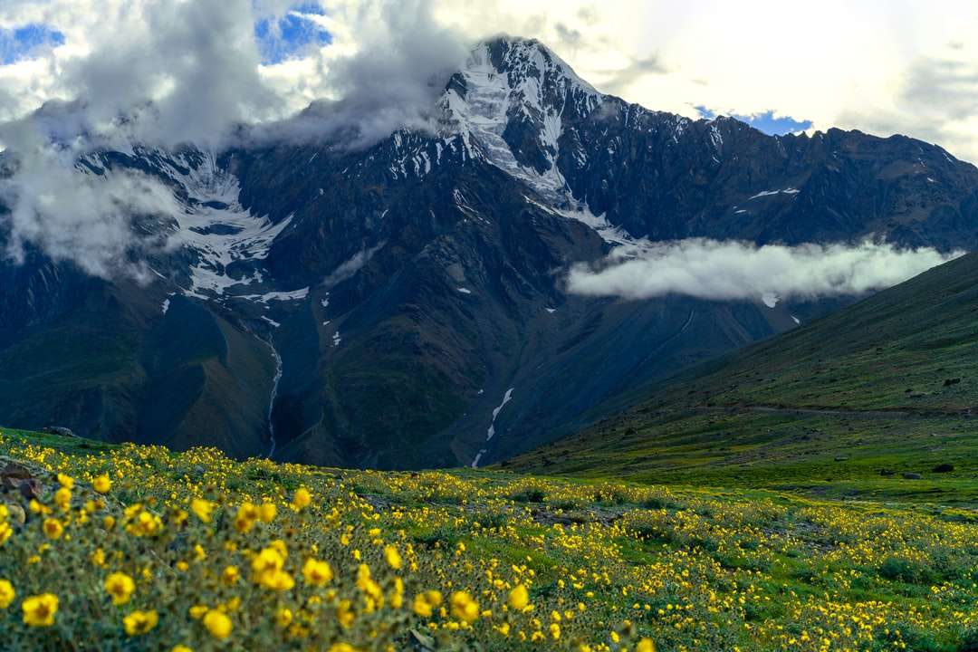câmp de flori galbene lângă munte în timpul zilei jigsaw puzzle online