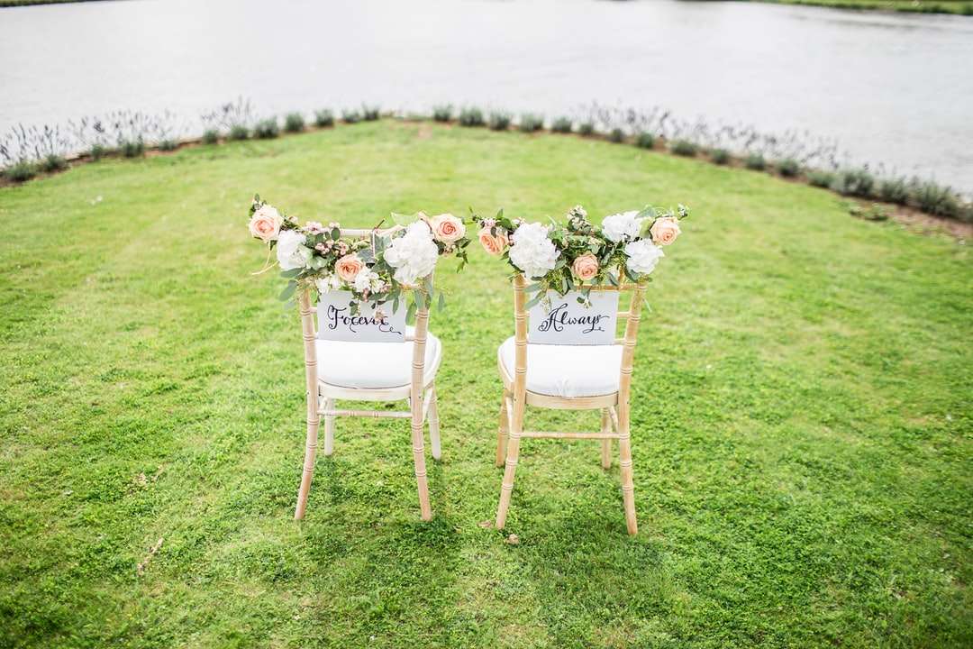 due sedie decorative sul campo in erba vicino al corpo d'acqua puzzle online