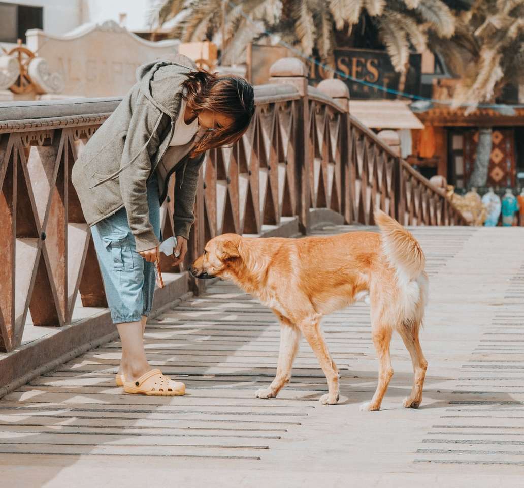 donna chinandosi accanto a un cane marrone a pelo lungo puzzle online