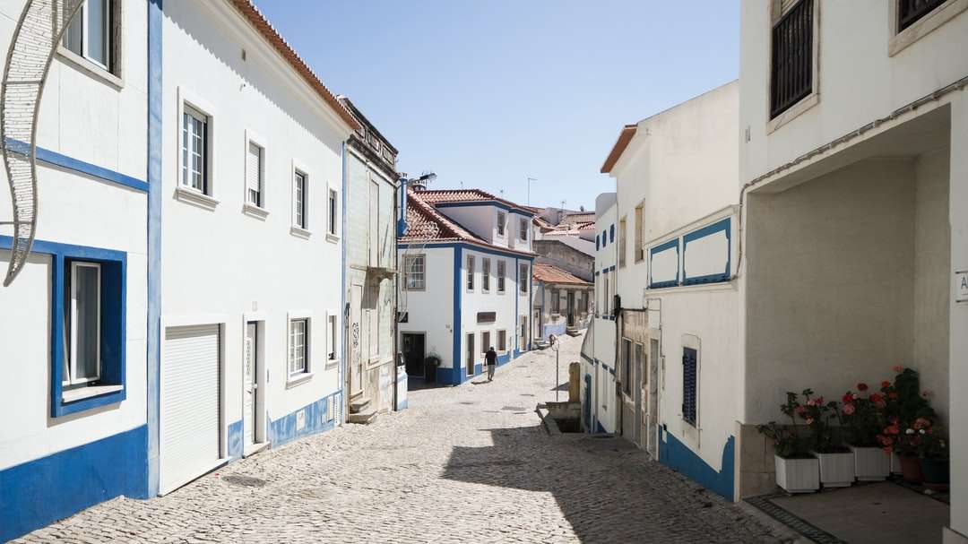 graue Straße mit weißen und blauen Betonhäusern gesäumt Online-Puzzle