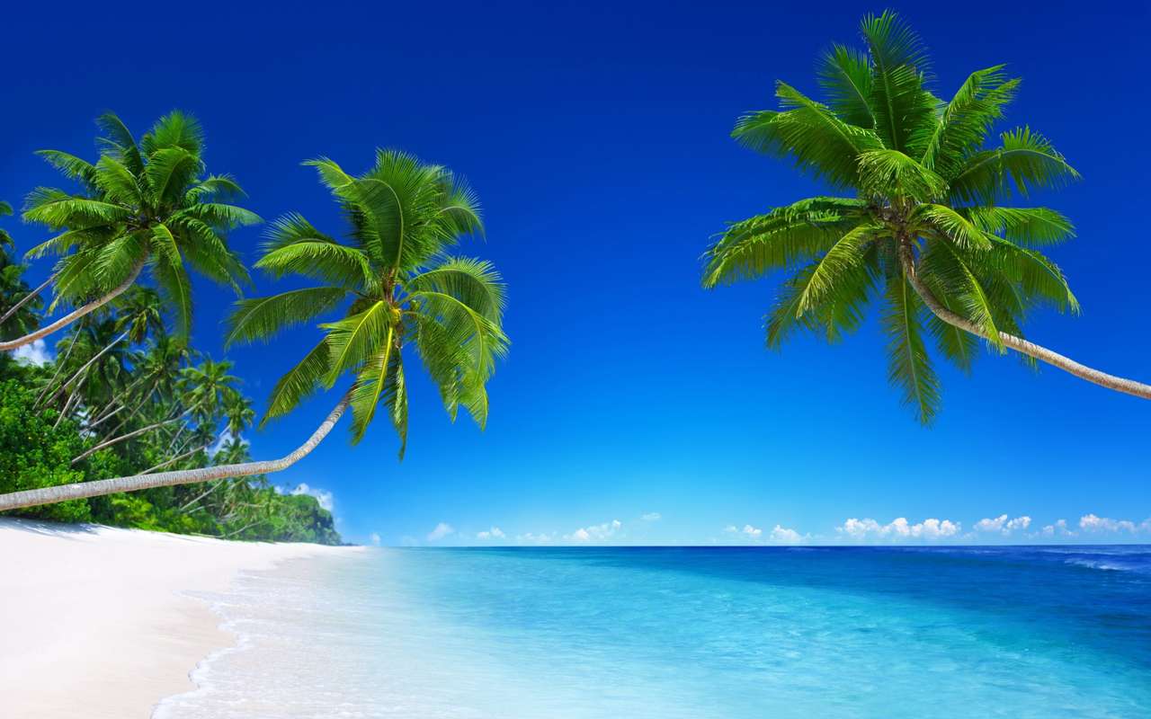 Palmiers sur la plage puzzle en ligne