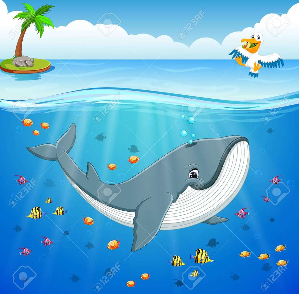 walvis onderaan online puzzel