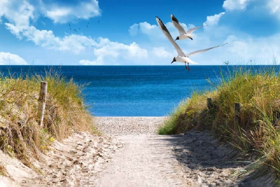 Балтийски плаж. онлайн пъзел