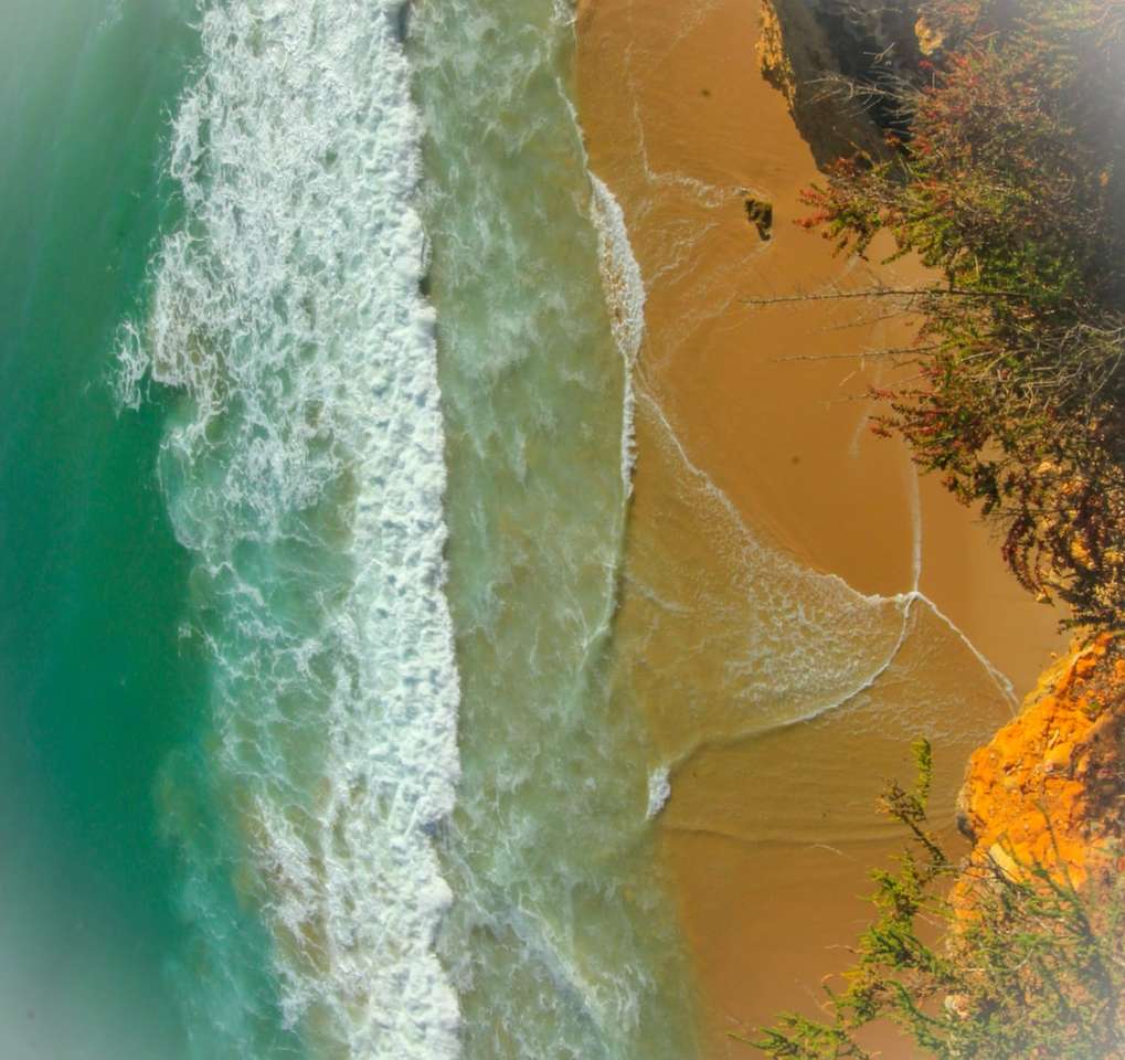 въздушен изглед на плажа през деня онлайн пъзел