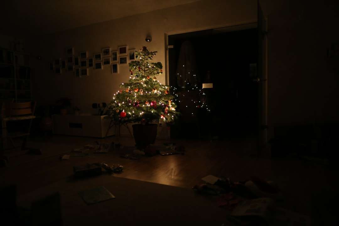 grönt julgran med strängljus tända i rummet Pussel online