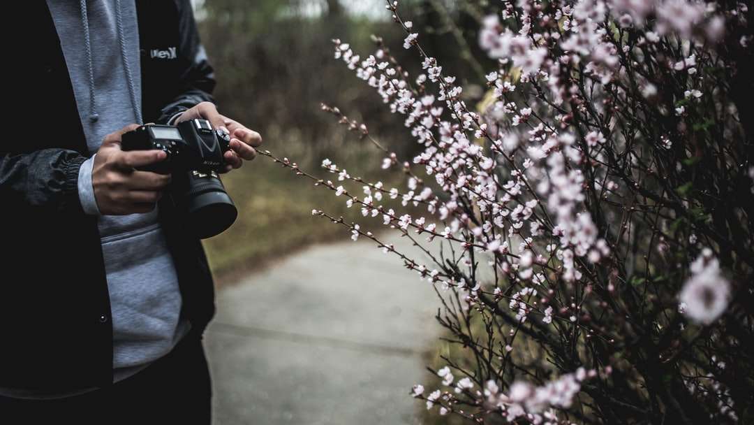 άτομο που κρατά μαύρη κάμερα δίπλα σε λευκά λουλούδια παζλ online