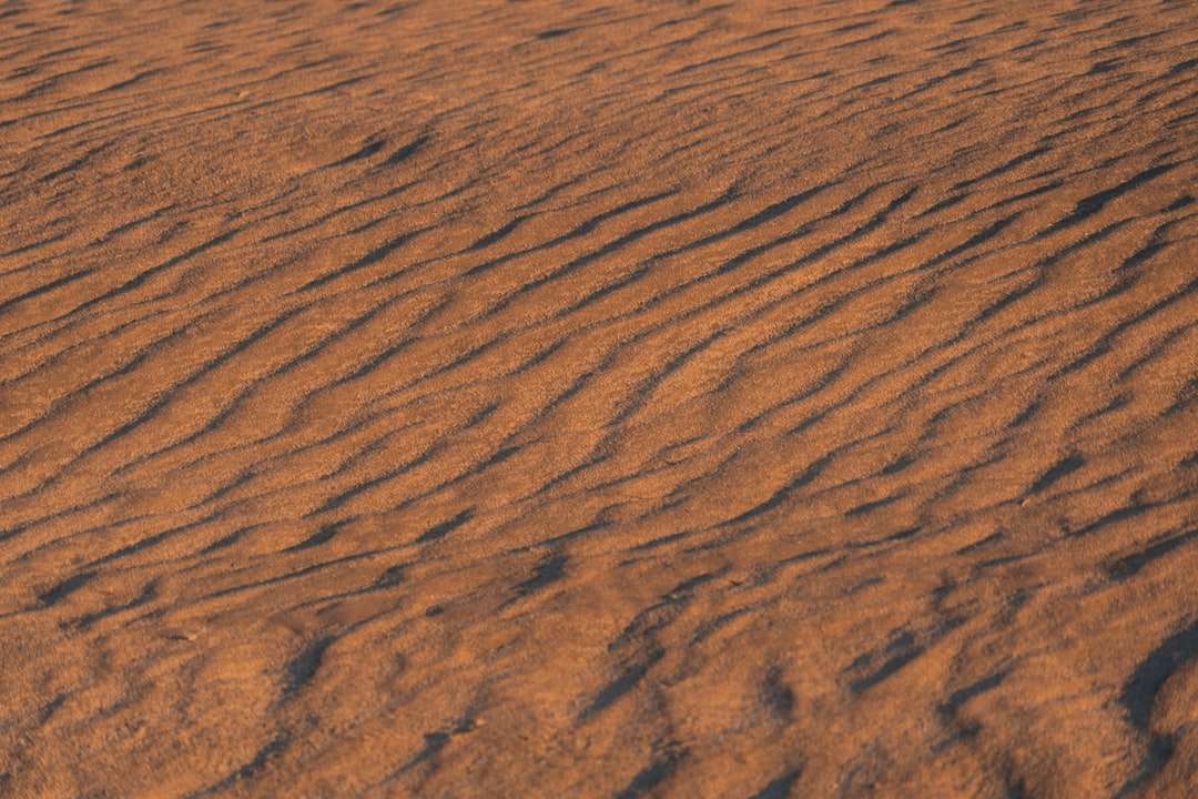 коричневая пустыня онлайн-пазл