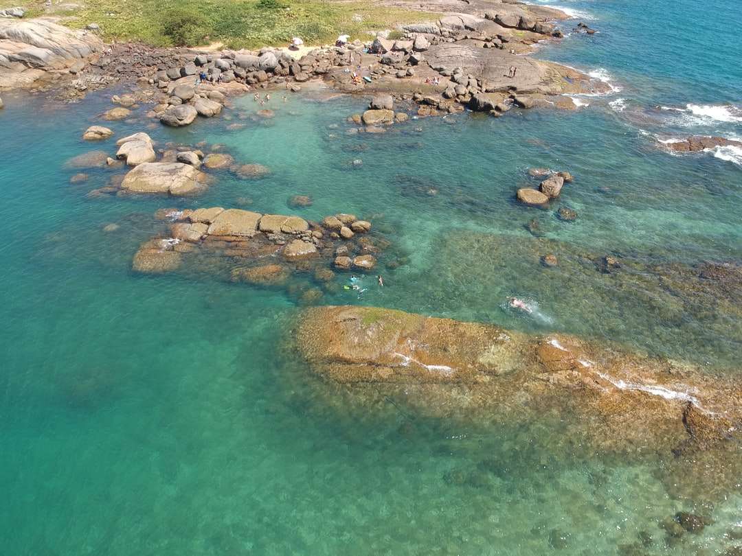 a légi felvétel a zöld és barna sziget napközben online puzzle