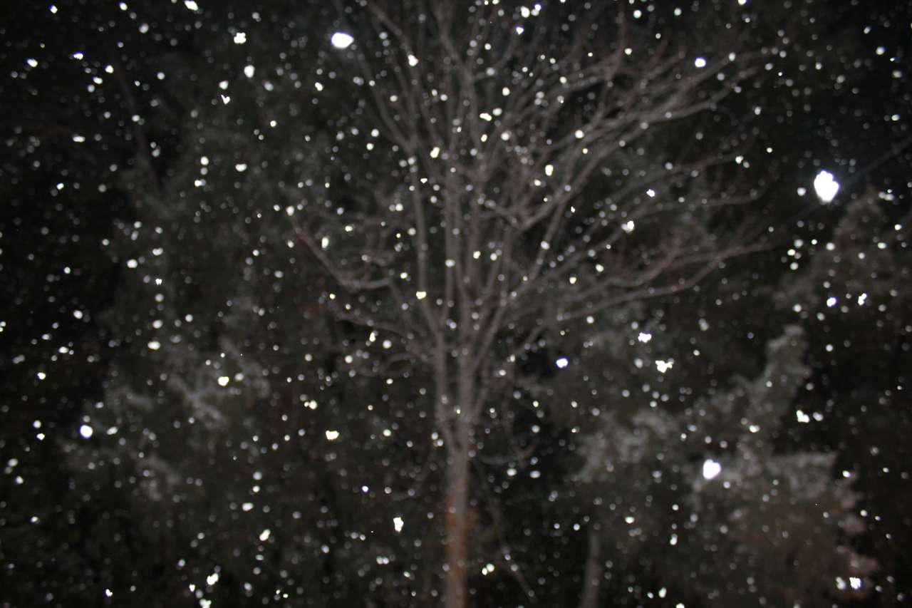 Snowy tree online παζλ