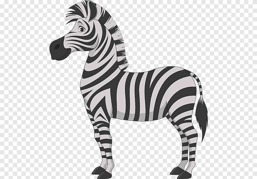 černá a bílá zebra skládačky online