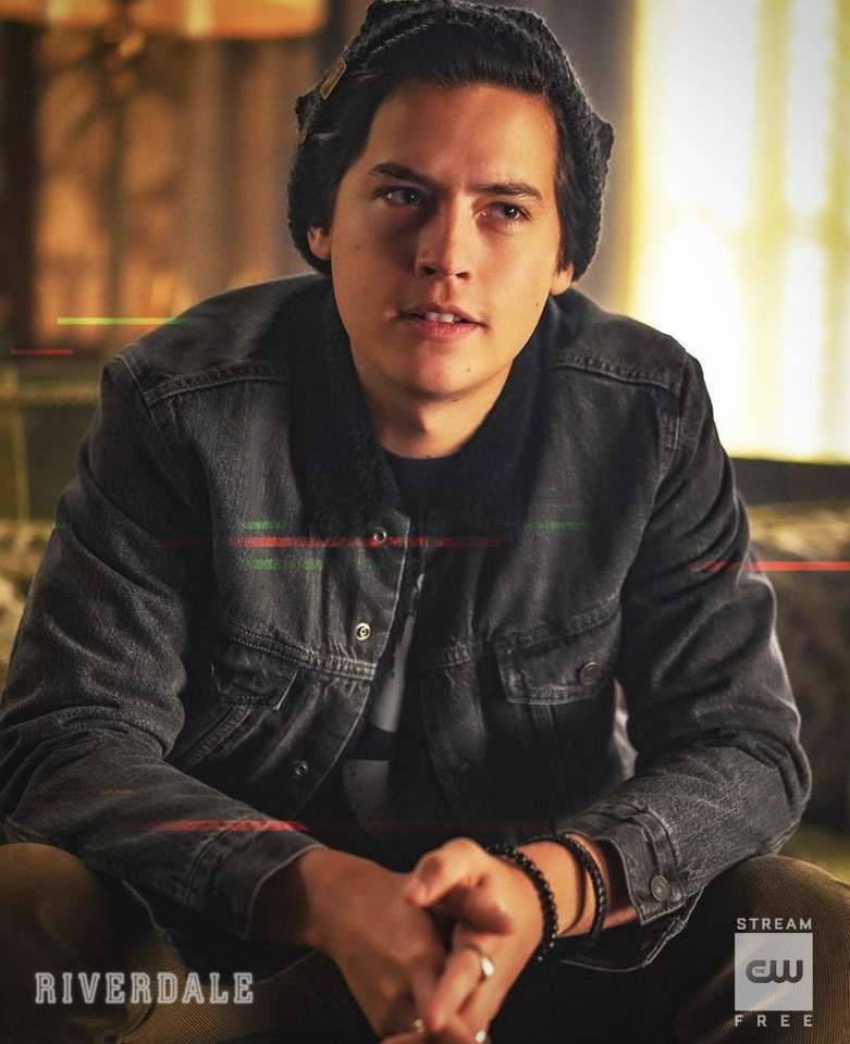 cole sprouse online puzzle