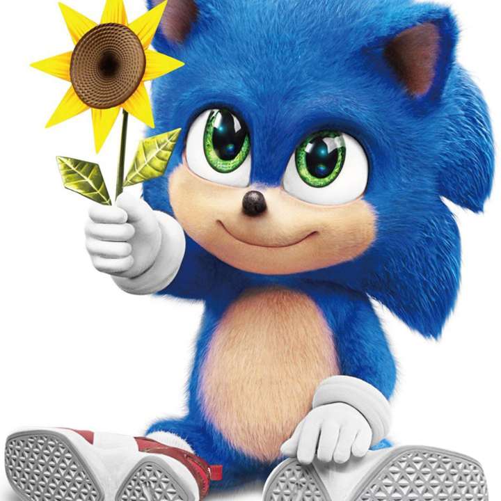 Baby Sonic jigsaw puzzle online