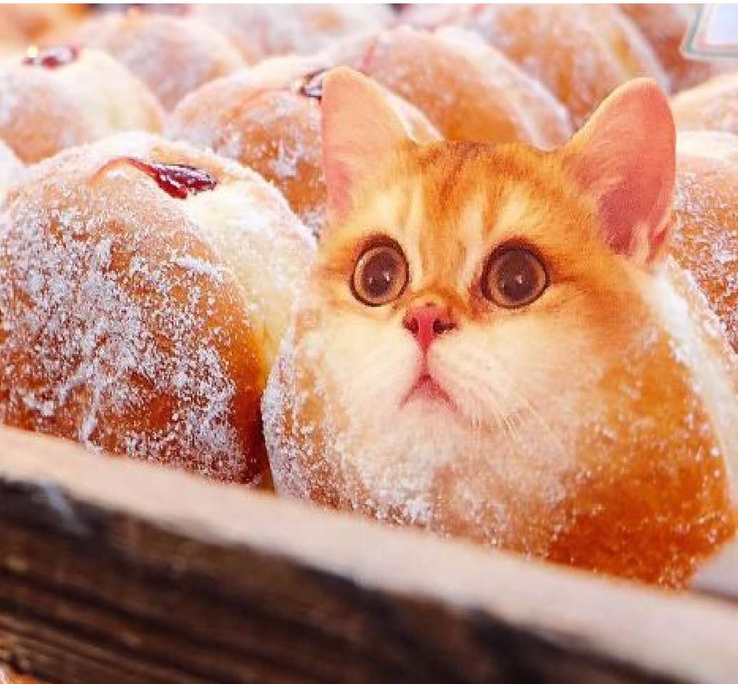 子猫ドーナツ オンラインパズル