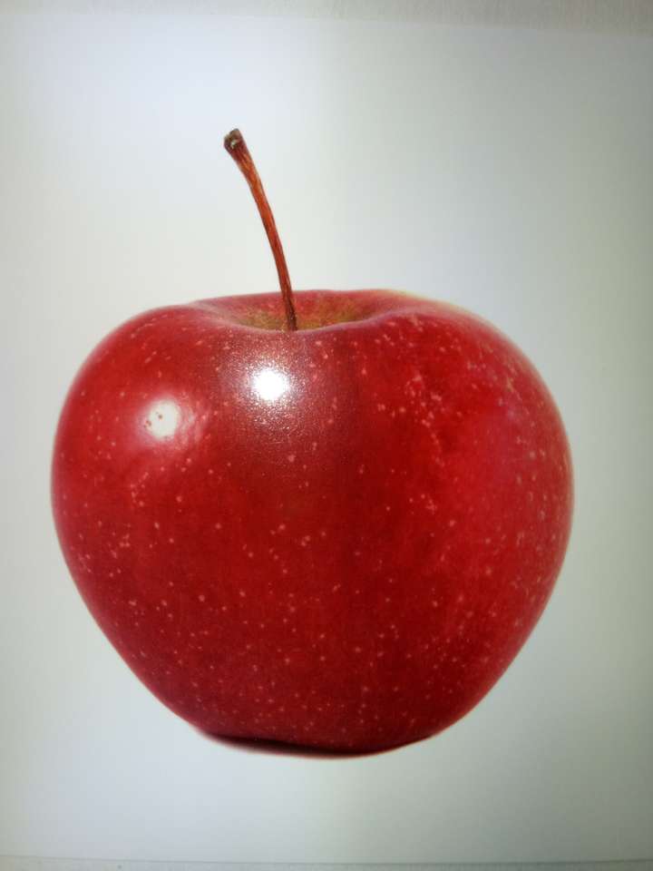 Det röda äpplet pussel på nätet