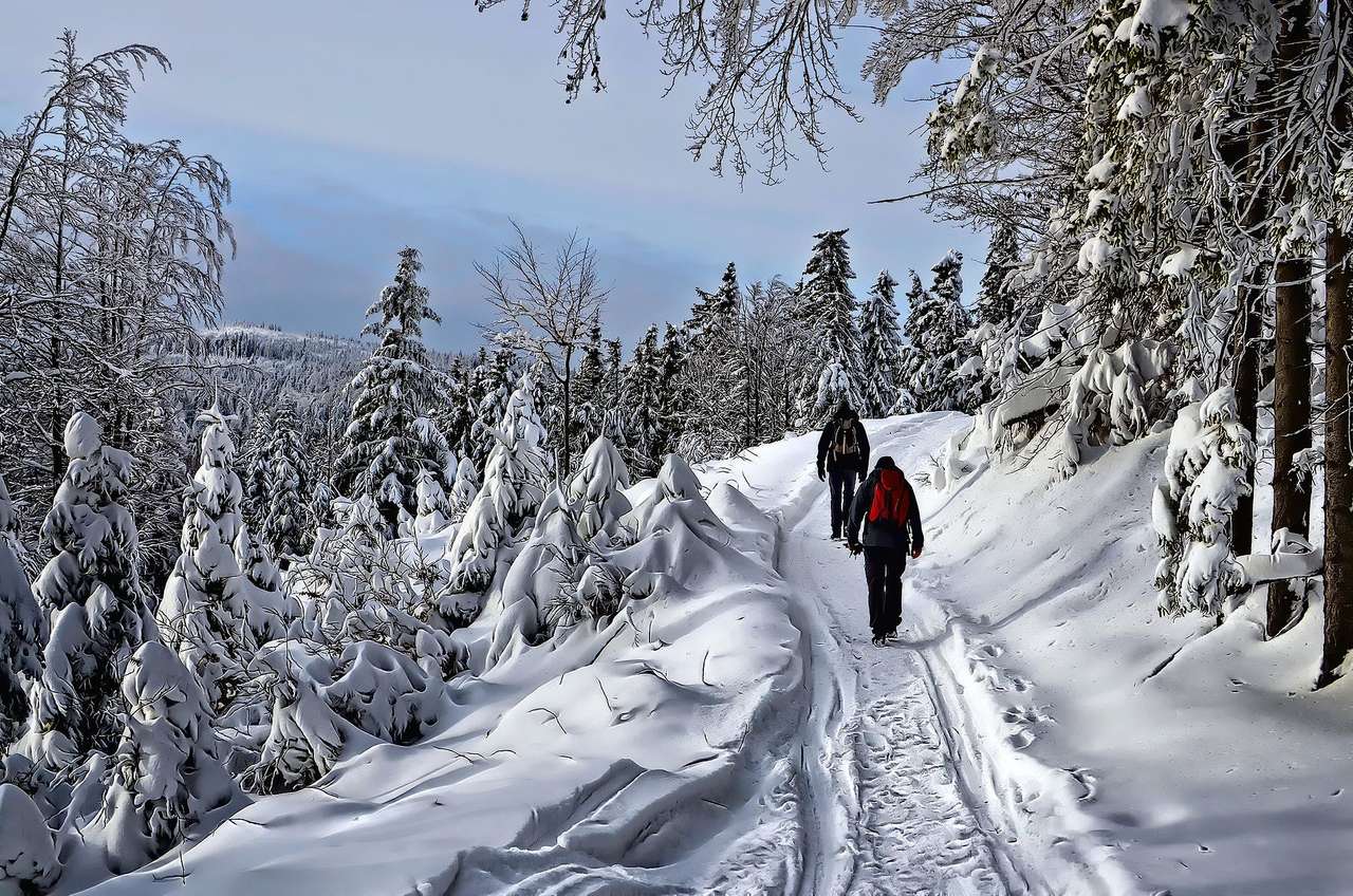 Зимова прогулянка пазл онлайн