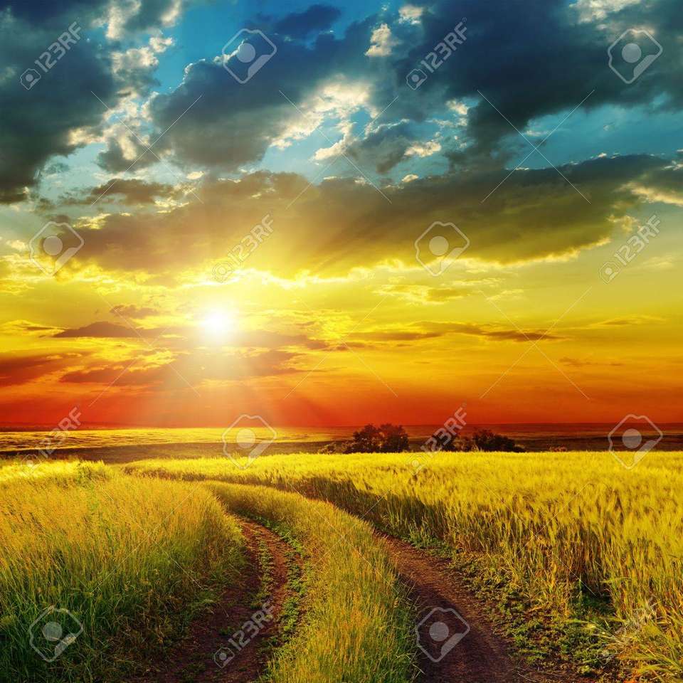 SUNSET OVER RURAL ROAD .. jigsaw puzzle online