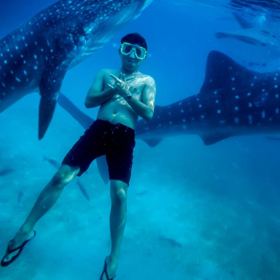 fotografia subaquática de homem vestindo shorts pretos quebra-cabeças online