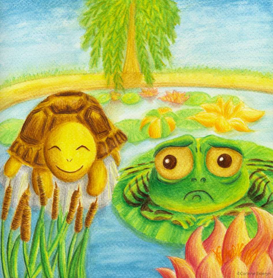 De kikker en de schildpad 2 online puzzel
