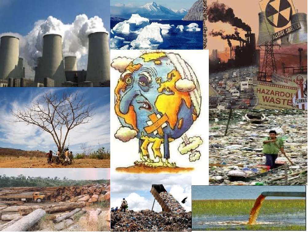 ENVIRONMENTAL PROBLEMS jigsaw puzzle online