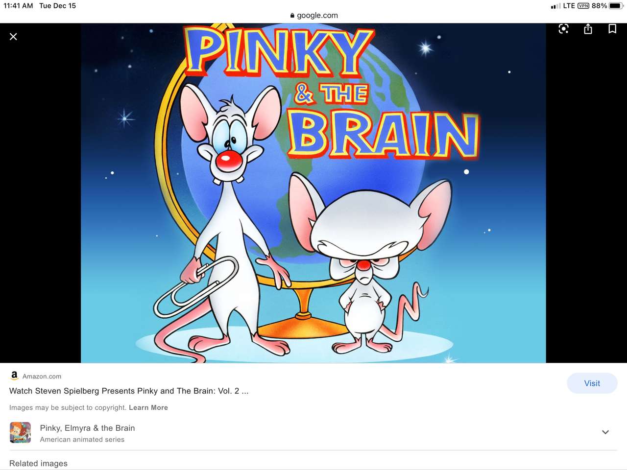 Pinky pinky and the brain brain online puzzle