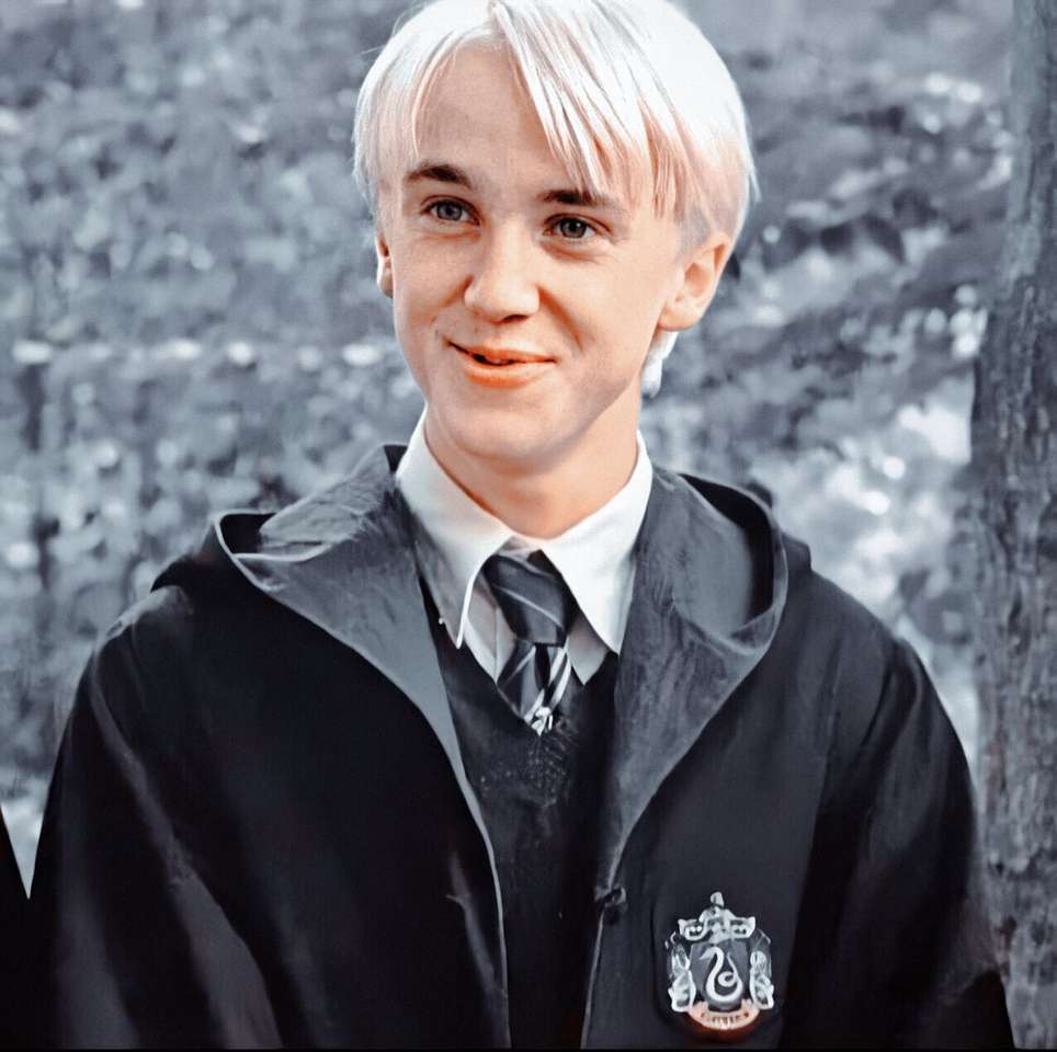 Draco ??? Pussel online