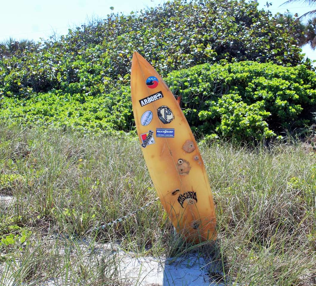 gele surfplank op groen grasveld overdag online puzzel