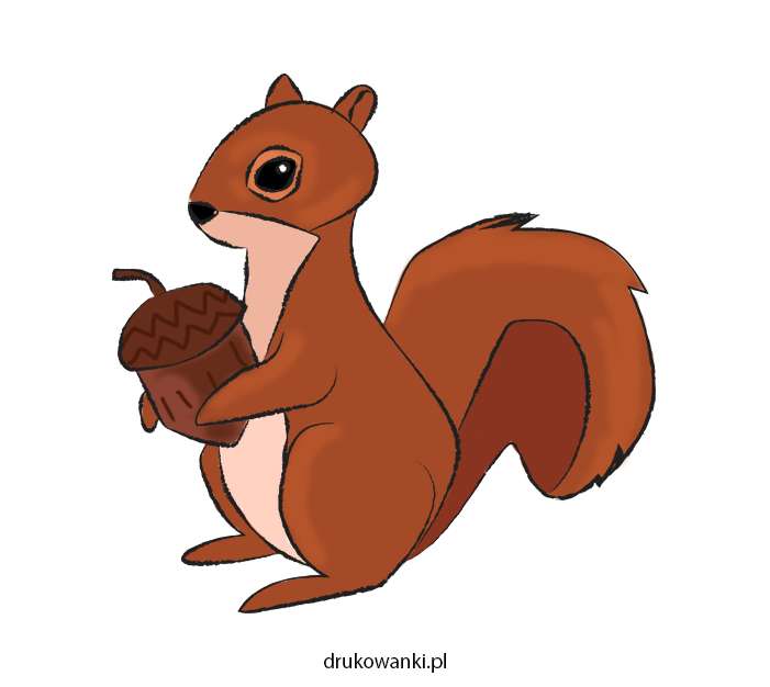 squirrel online puzzle