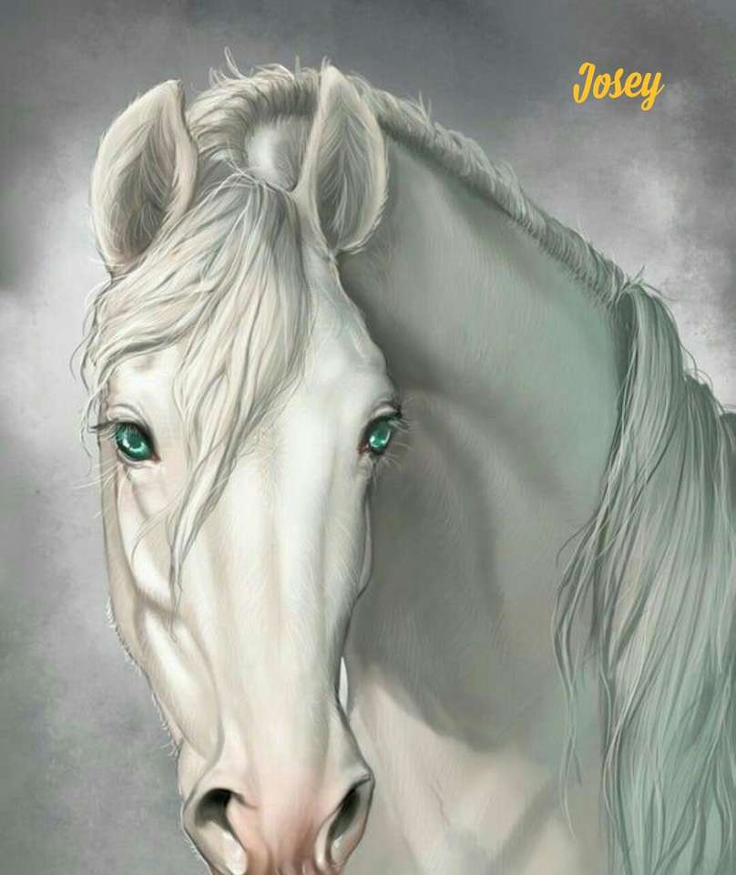Weißes Pferd mit smaragdgrünen Augen. Puzzlespiel online