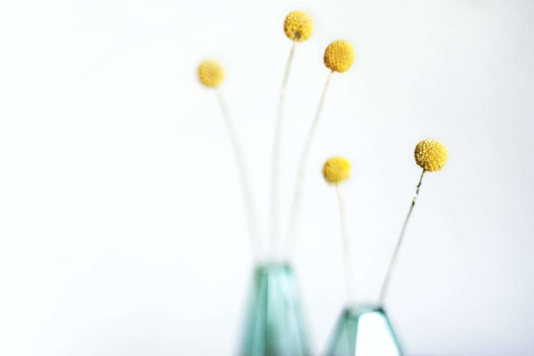 ρηχή φωτογραφία κίτρινου λουλουδιού παζλ online