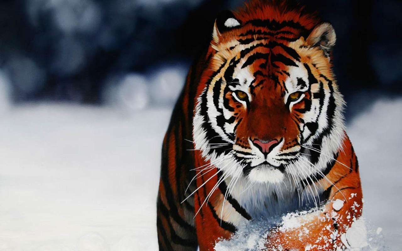 En stor Tiger! Pussel online