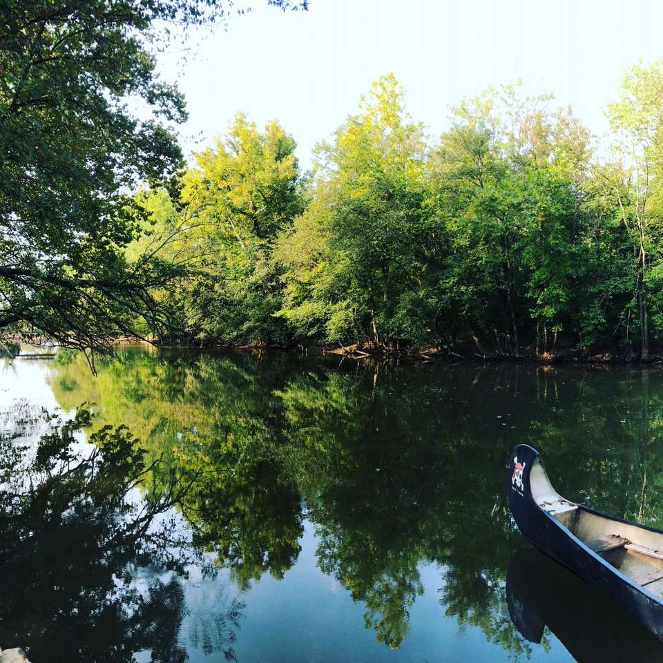 昼間は緑の木々に囲まれた湖の茶色のボート ジグソーパズルオンライン