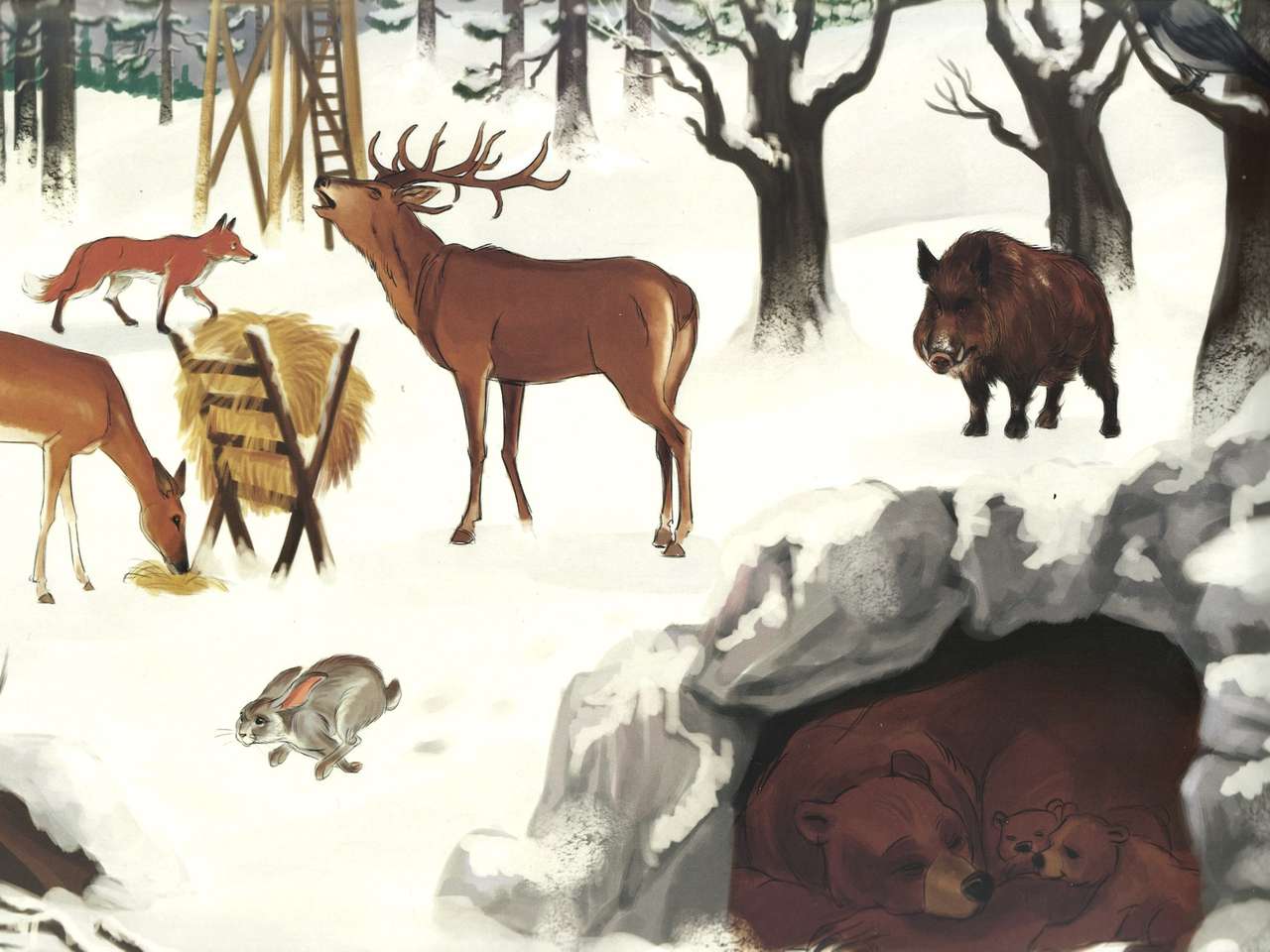 Animale salbatice iarna puzzle online