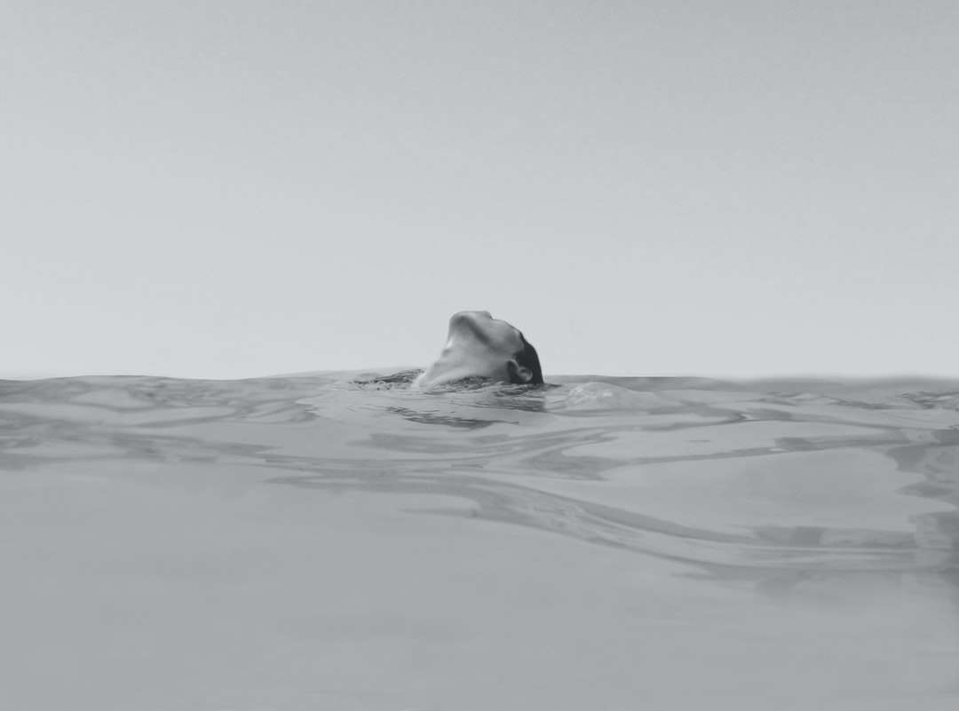 Frau, die auf der Ozeanfotografie schwimmt Online-Puzzle