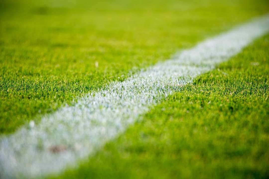 Közeli kép: egy fehér vonal, a zöld fű, egy futballpálya online puzzle