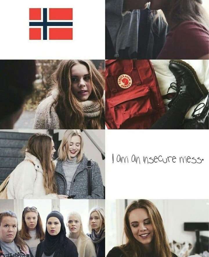 Norsk skam pussel på nätet