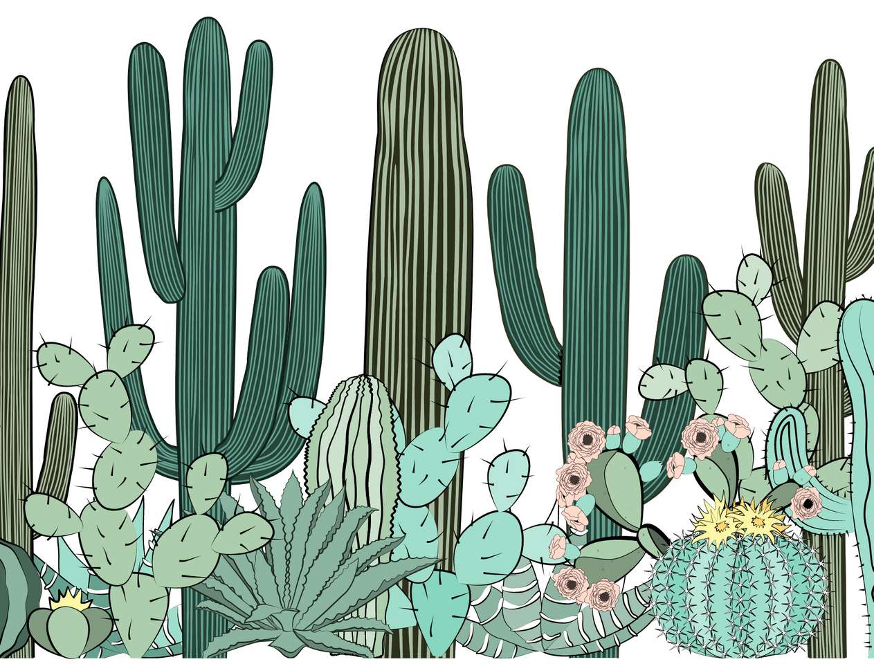 kaktusová hádanka skládačky online