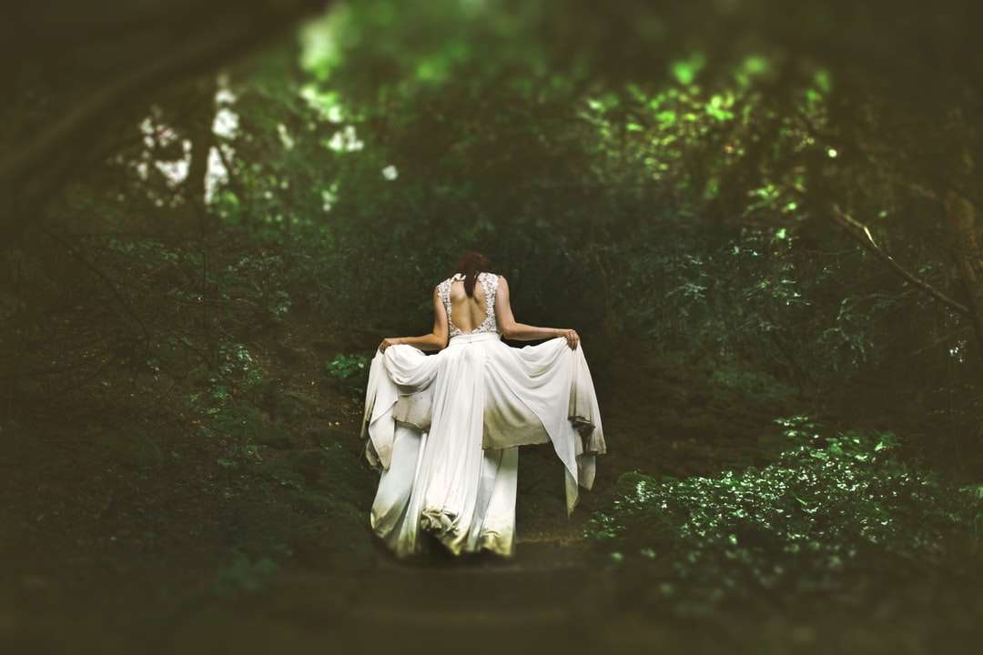 木々に囲まれた小道を歩く白いドレスの女性 オンラインパズル